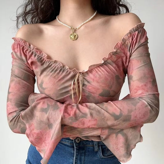 2024 Autumn/Winter Hot Simple Elegant Vintage Rose Print Mesh V-neck All Fit Leisure Vacation Slim Long-sleeved T-shirt